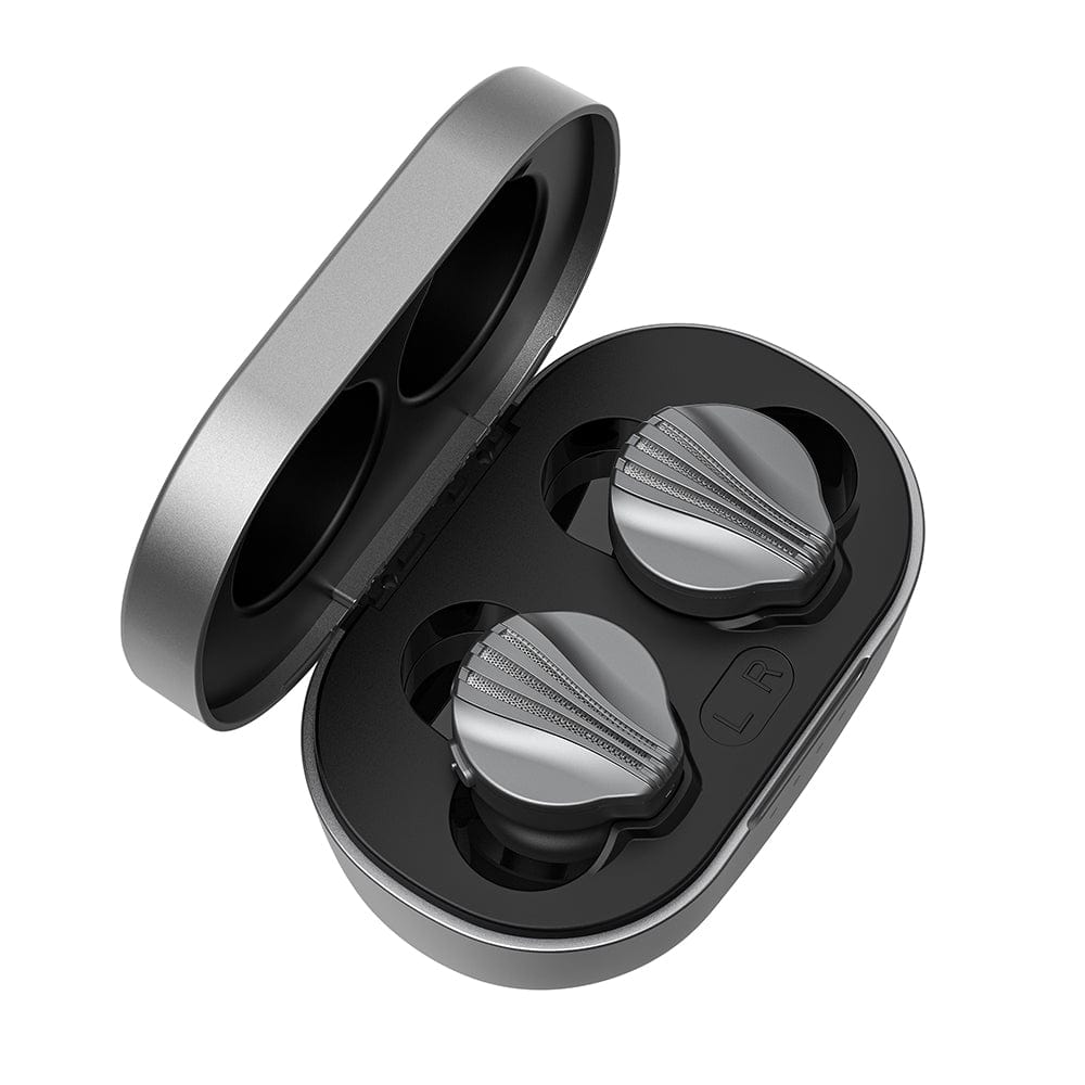 FiiO Earphones FiiO FW3
