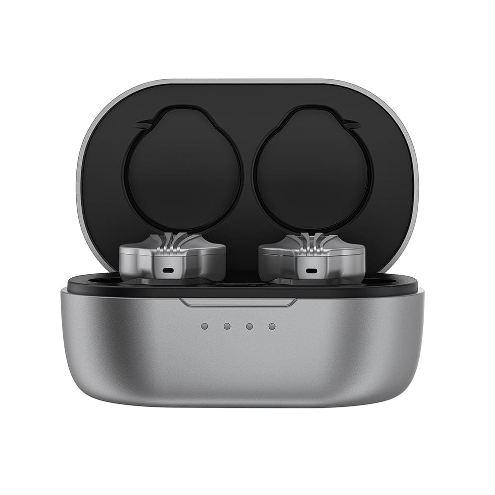 FiiO Earphones FiiO FW3