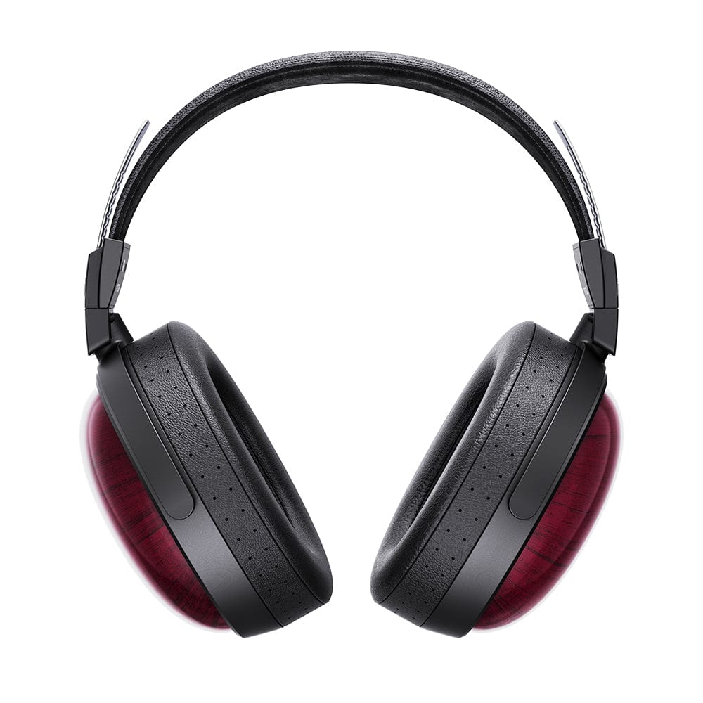 FiiO Headphone FiiO FT13